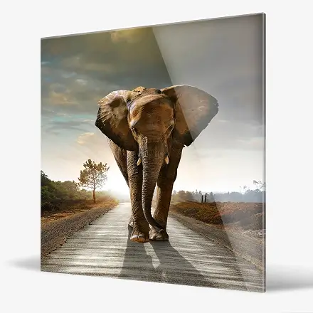 Tableau sur verre animaux