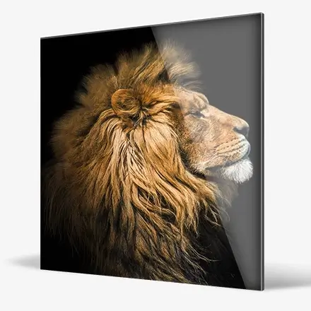 Tableau sur verre lion