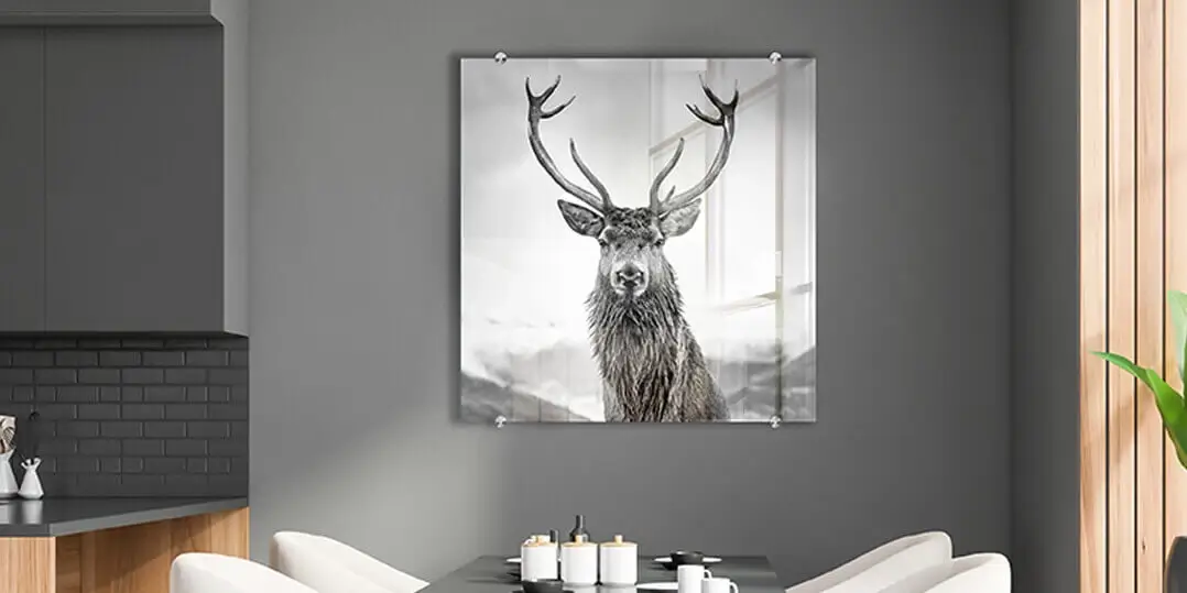 Decoration murale avec entretoises en inox