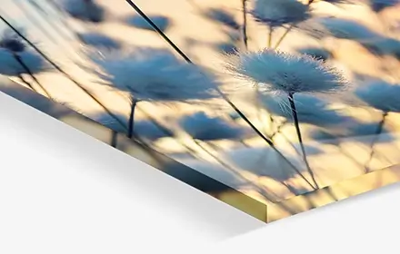 Detailansicht der gefrästen Kante und des Glanzes eines Acrylglasbildes