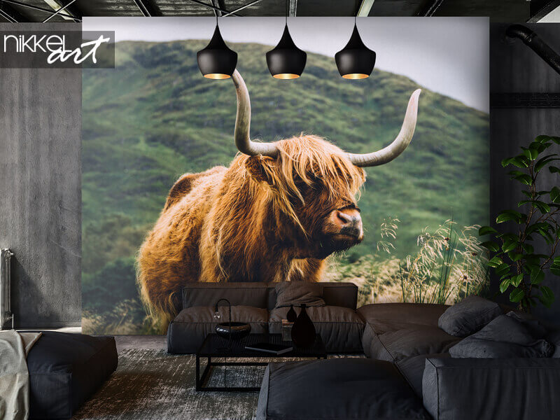 Fotobehang Schotse Hooglanders met hoorns