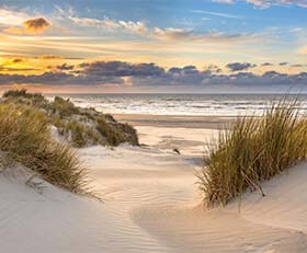 Wandcirkels Duinen