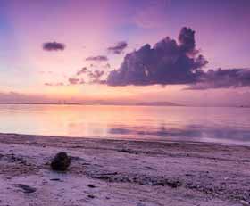 Plexiglas schilderij Lavendelkleur