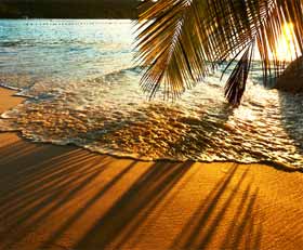 Plexiglas schilderij Tropisch strand