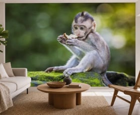Fotobehang Aap
