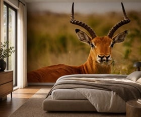 Fotobehang Antilope