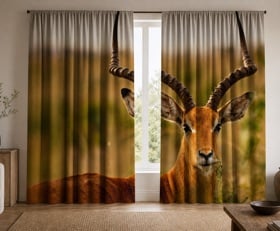 Gordijnen Antilope