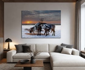 Plexiglas schilderij Arctica