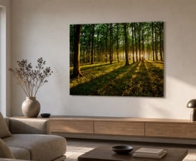 Plexiglas schilderij Bos