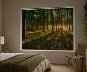 Rolgordijnen Bos