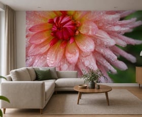 Fotobehang Dahlia