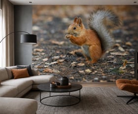 Fotobehang Eekhoorn