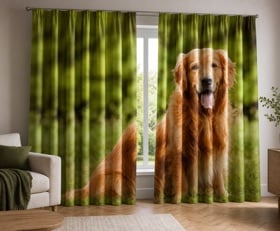 Gordijnen Hond