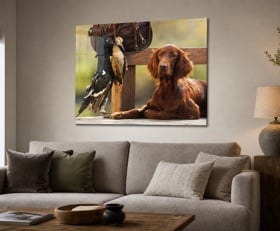 Plexiglas schilderij Jacht
