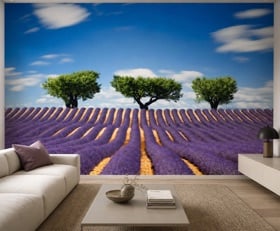 Fotobehang Lavendel