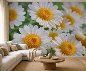 Fotobehang Madeliefjes