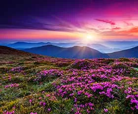 Leinwandbild mit Naturmotiven