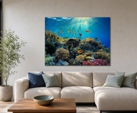Plexiglas schilderij Onder water