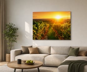 Plexiglas schilderij Oranje