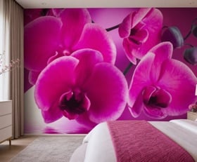 Fotobehang Orchidee
