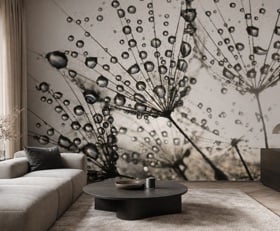 Fotobehang Paardenbloem met waterdruppels
