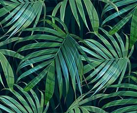 Plexiglas schilderij Palmbomen patronen