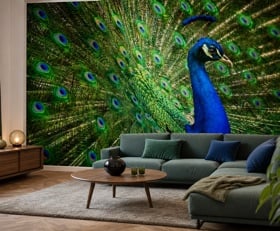 Fotobehang Pauw
