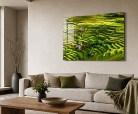 Plexiglas schilderij Rijstvelden