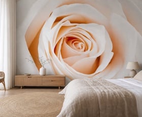 Fotobehang Rozen