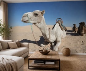 Fotobehang Tunesië