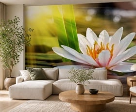 Fotobehang Waterlelie