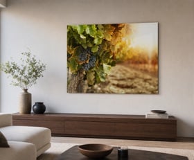 Plexiglas schilderij Wijngaard