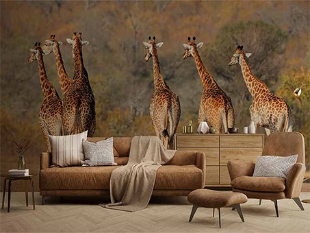 Muurstickers: transformeer uw interieur zonder boren of schade