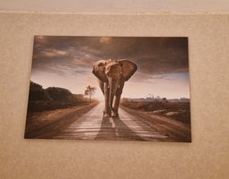 Canvas schilderij Olifant loopt over een weg bij zonsondergang