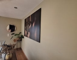 Canvas schilderij Diverse wijnflessen naast elkaar