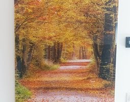 Plexiglas schilderij Herfstbos