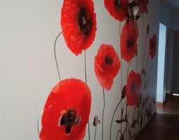 Fotobehang Rode klaprozen op witte achtergrond