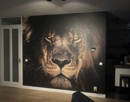 Fotobehang Indrukwekkend portret van mannelijke leeuw