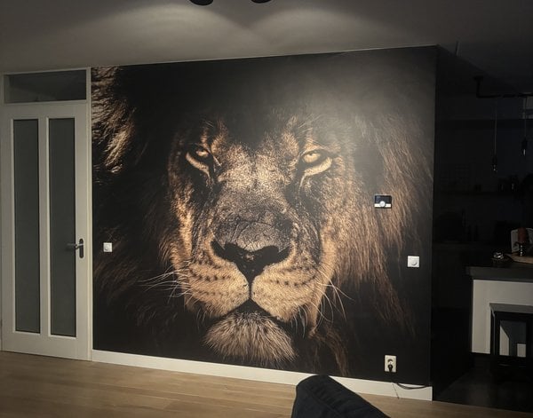 Fotobehang Fotobehang Indrukwekkend portret van mannelijke leeuw — inspiratie van klanten