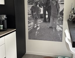 Fotobehang Twee mensen bij olifant