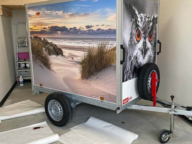 Uil en duinlandschap