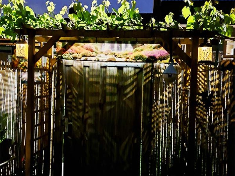 Waterval met begroeiing